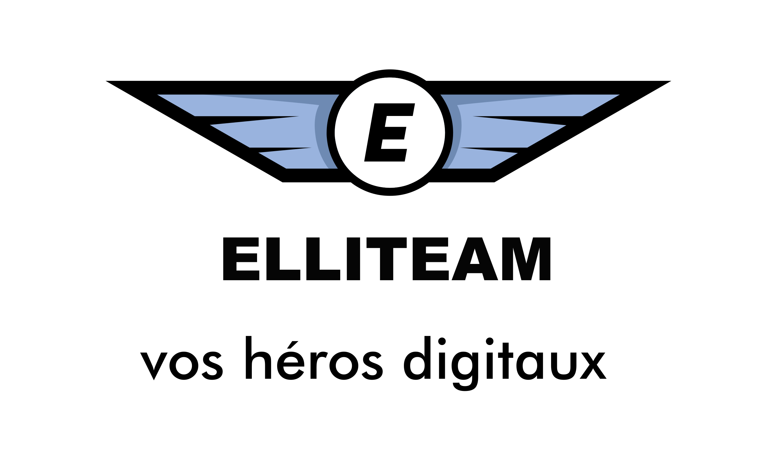logo Elliteam